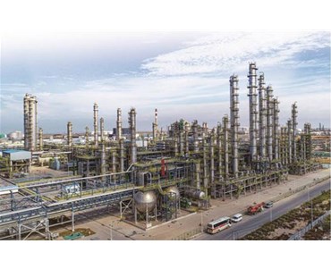 世界级石化产业强力托起“后发先至”