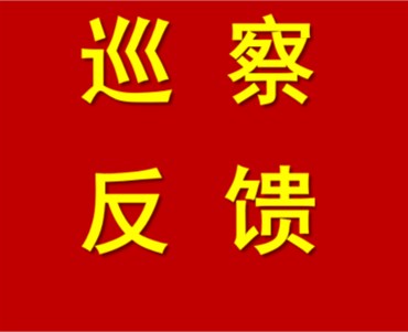 区党工委召开巡察区属国有企业集中反馈会